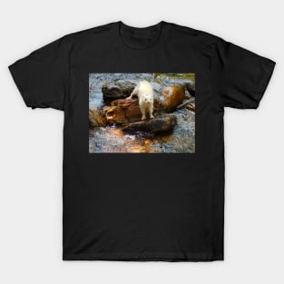 Descending T-Shirt